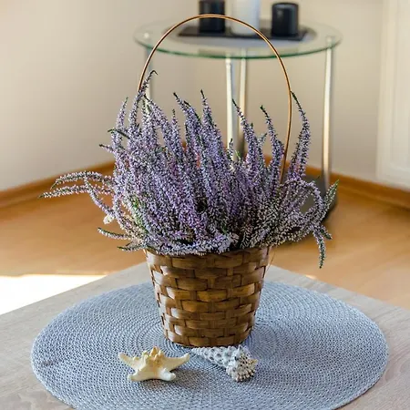 Apartman Lori Baška