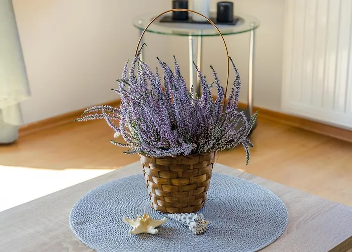 公寓 Lori 巴斯卡